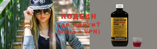 хмурый Арсеньев