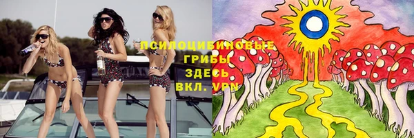 хмурый Арсеньев