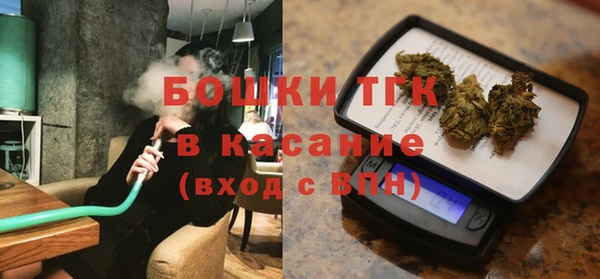хмурый Арсеньев