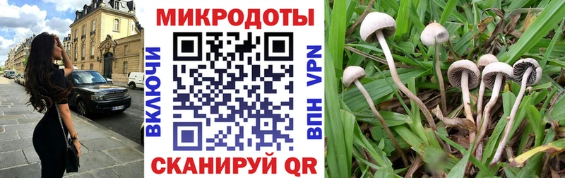OMG ONION Рузаевка Псилоцибиновые грибы Magic Shrooms купить закладку
